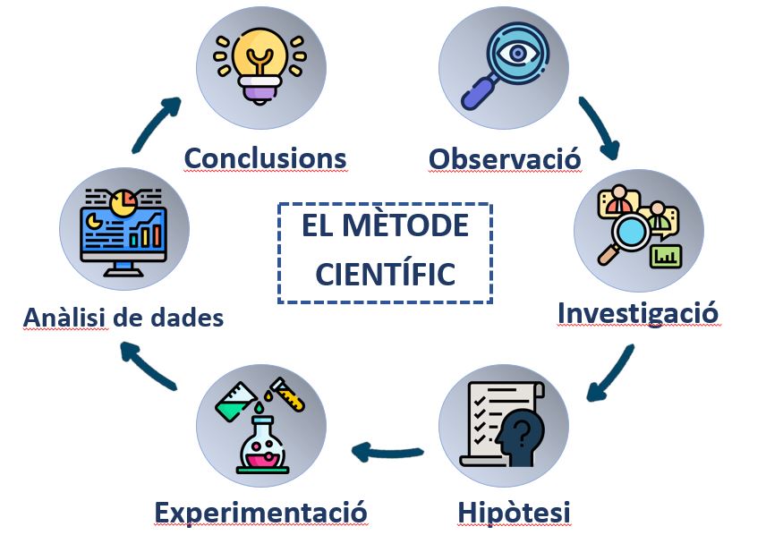 Imatge 5 : Esquema del Mètode Científic